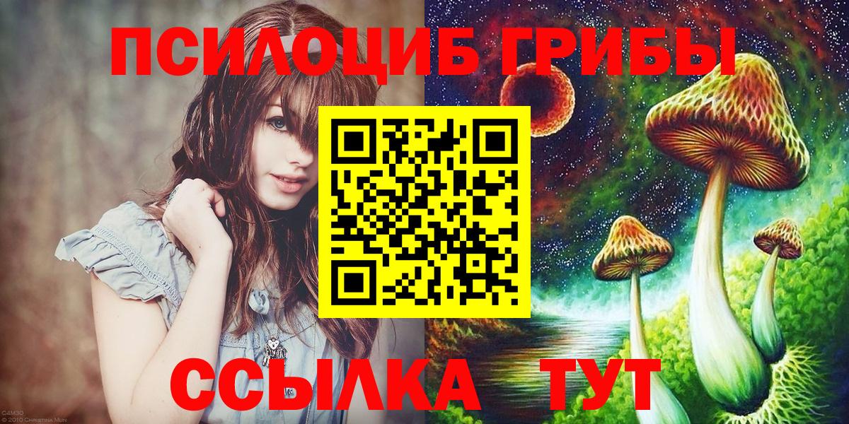Псилоцибиновые грибы Psilocybe Курск