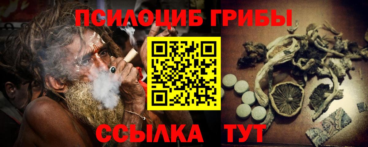 Псилоцибиновые грибы MAGIC MUSHROOMS  Вход с VPN  Псилоцибиновые грибы ЛСД  Курск 